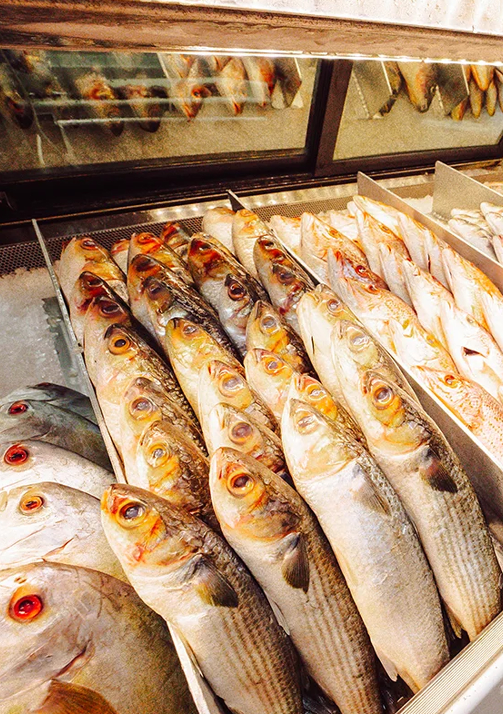 Seafood Market in North Miami