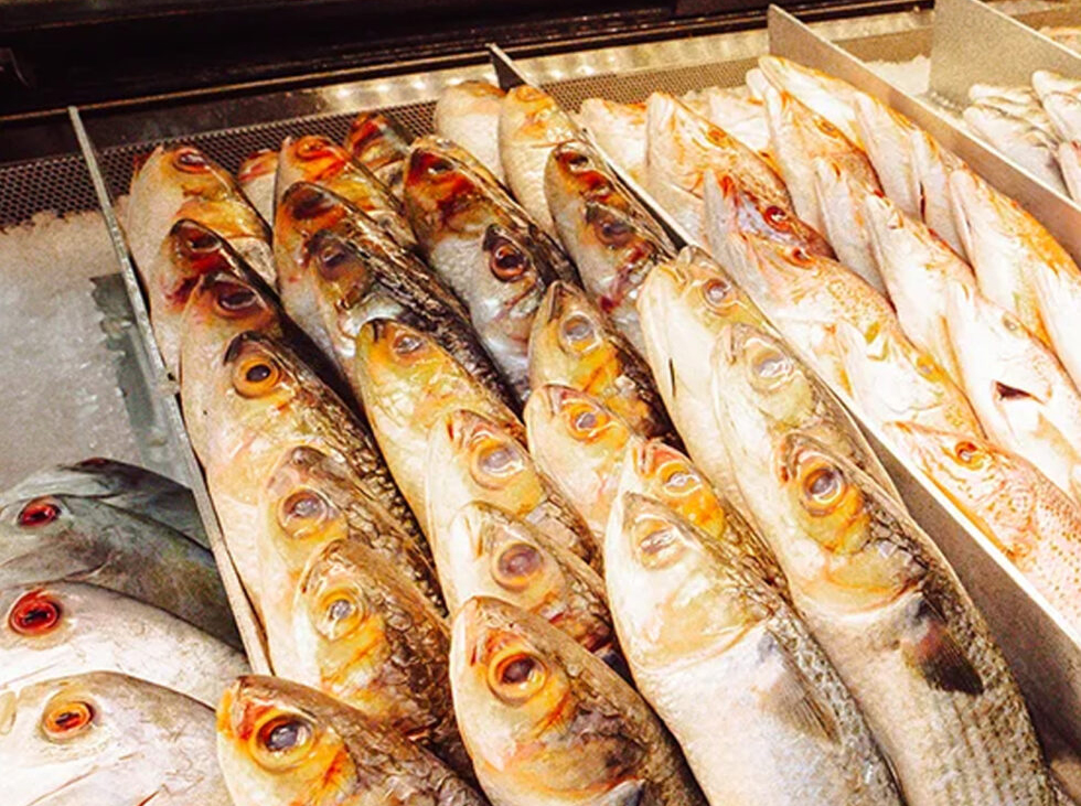 Freshest Fish