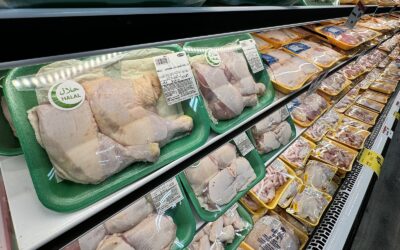 Morning or Evening? Best Time to Shop at a Meat Market in North Miami