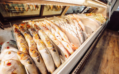 What Happens If Seafood Is Not Stored Properly After Purchase