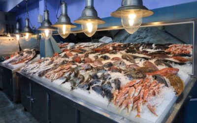 A Guide to Florida’s Local Seafood: What’s in Season at North Miami Markets