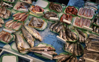 Haitian and Caribbean Seafood Cooking: What to Buy at North Miami Fish Markets