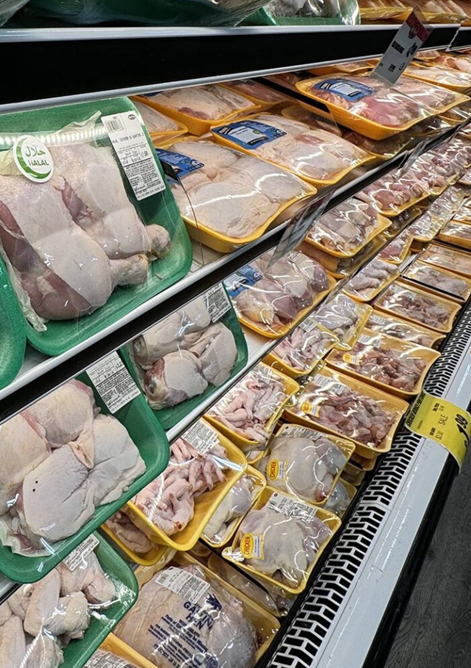 best-time-meat-market-north-miami